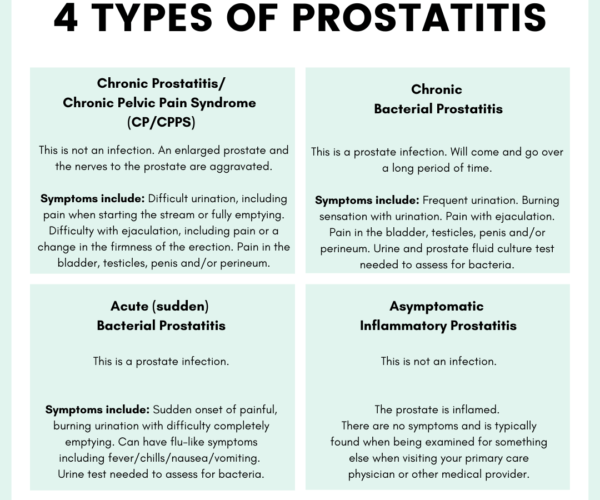 laura-meihofer-prostatitis-infographic-4-types-prostatitis-18311064