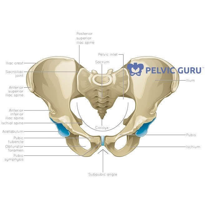 What is Pelvic Girdle Pain (PGP) + 3 products to help treat it - Laura  Meihofer