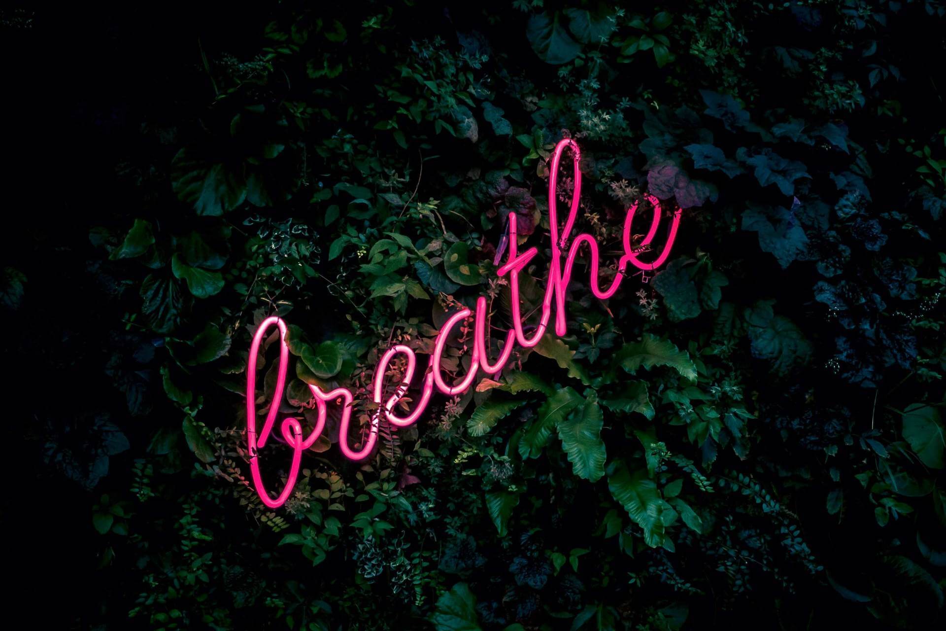 dark wall of greenery with hot pink cursive neon sign mounted on leaves reads breathe