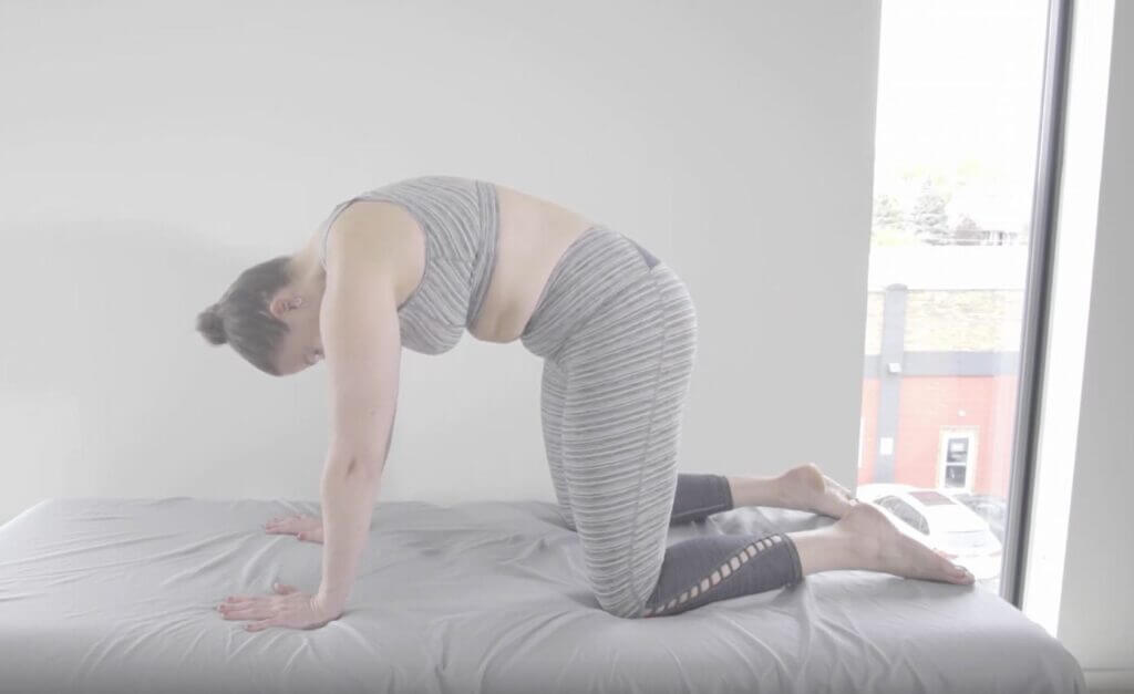 On hands and knees shoulder width apart toes together looking toward pelvis while belly arches up