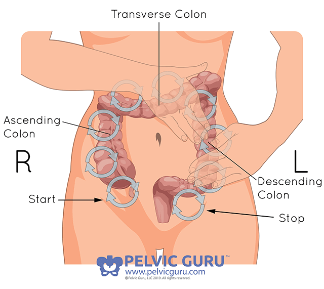 Medical illustration showing directions for a bowel massage along the colon
