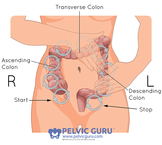 What happens to your body during pregnancy