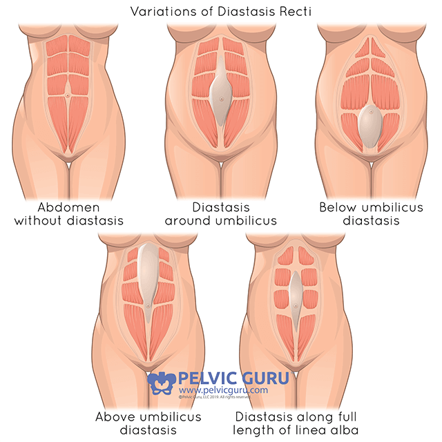 what happens to your body during pregnancy