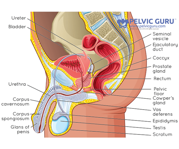 prostatitis