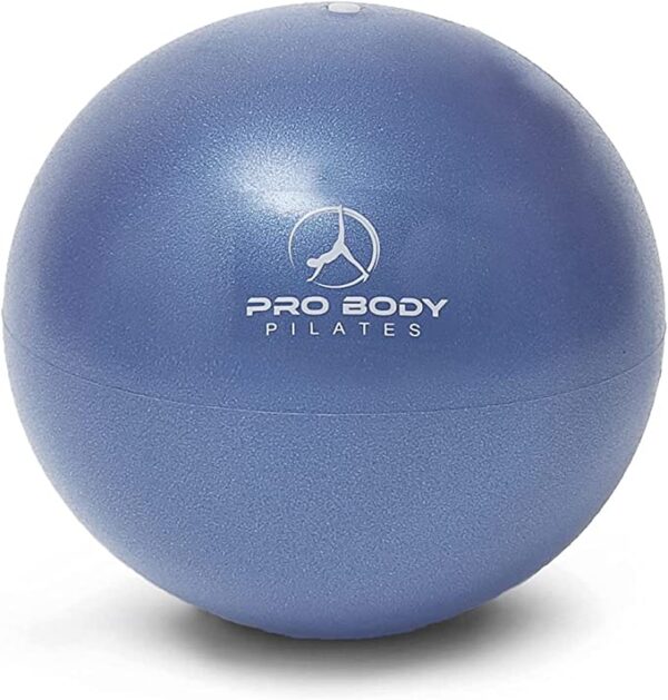 Pro Body exercise ball