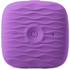 Livia accessory purple water skin