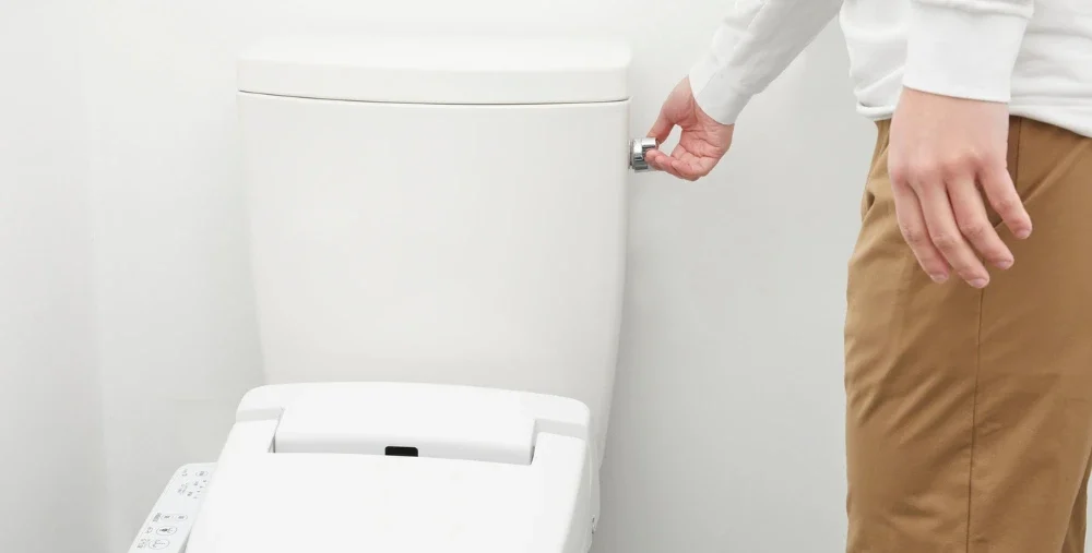 Person flushing a toilet