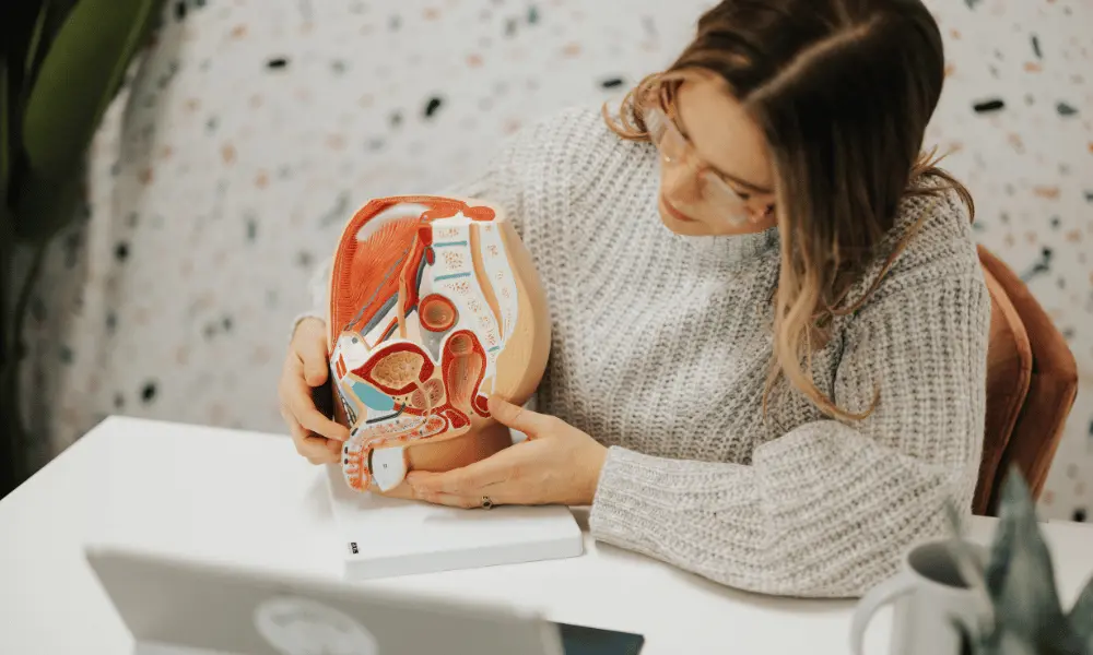 Dr. Laura Meihofer holding a pelvic model